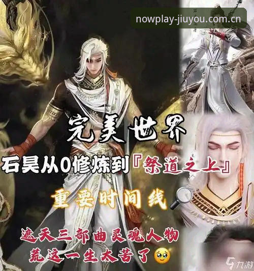 此时正当玩官网入口变更指南对比 九游平台·此时正当玩官网入口变更指南对比深度评测:v5.0新域名迁移体验报告